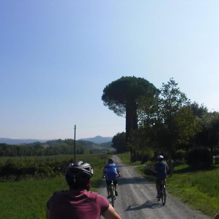 Podere Ripi Volterra Eksteriør billede